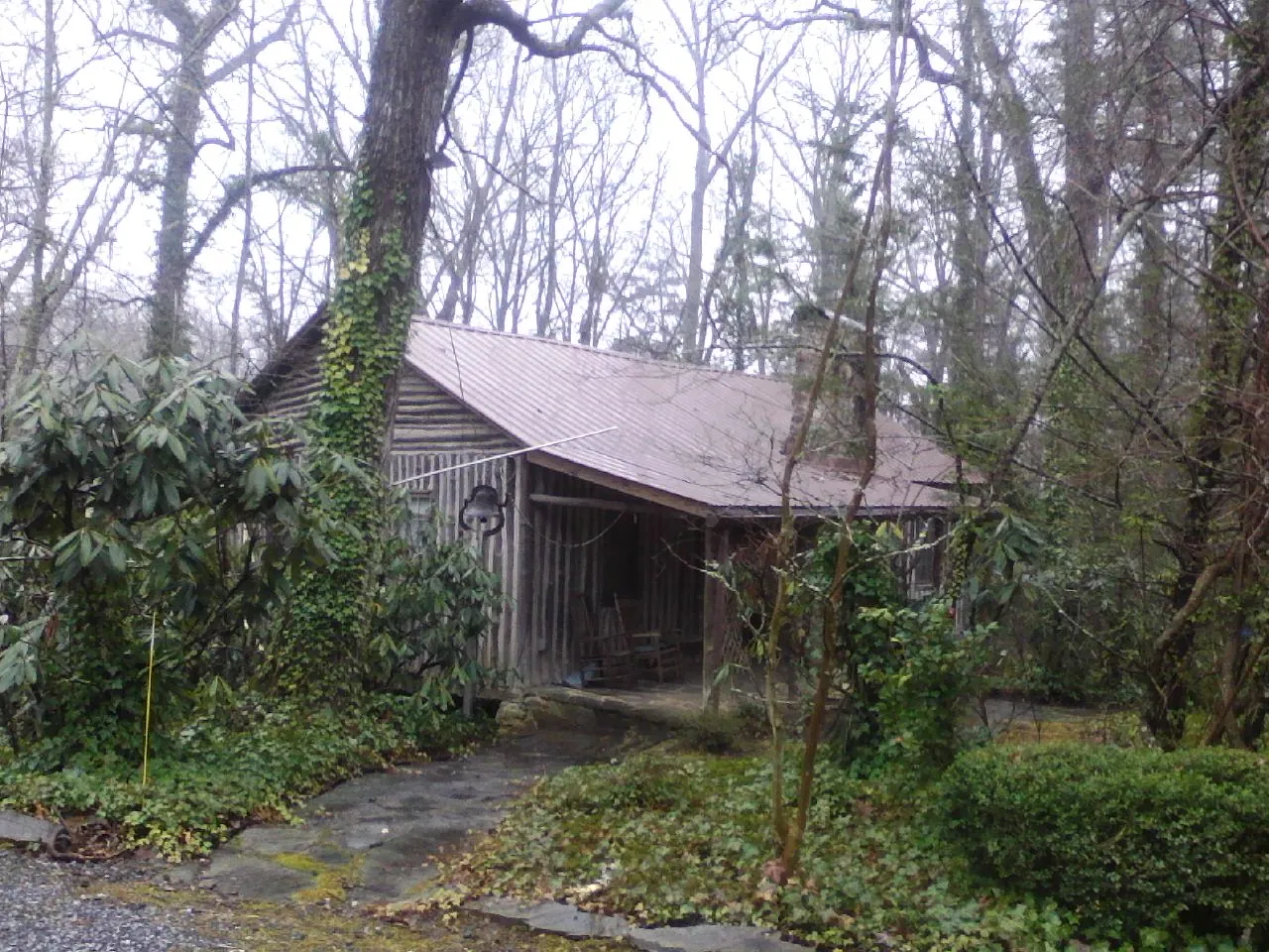Weathered metal roof on an old board sided cabin in the woods in North Bend